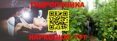 гидропоника Ливны