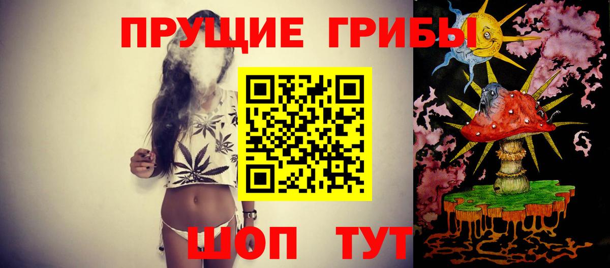 Галлюциногенные грибы Psilocybine cubensis Гусь-Хрустальный