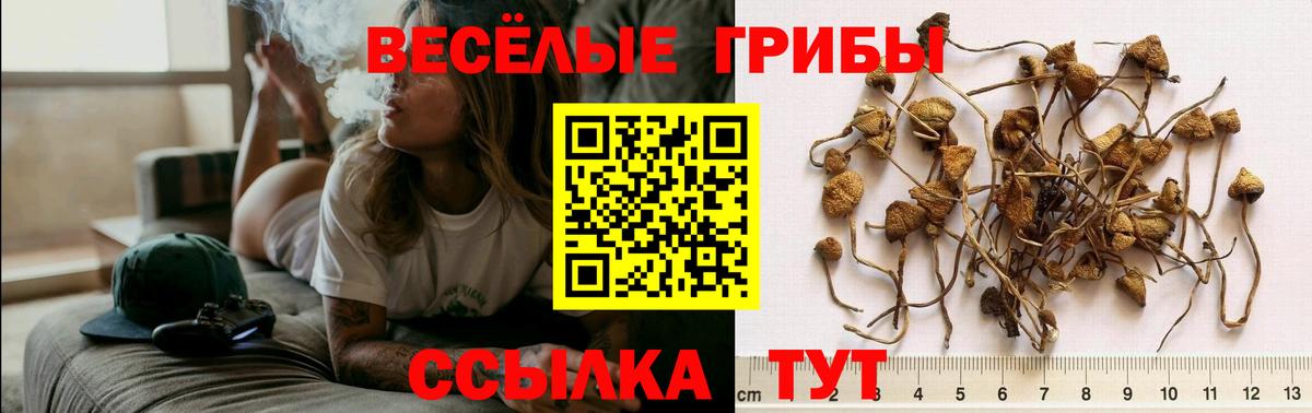 Галлюциногенные грибы мицелий  где купить   Гусь-Хрустальный  Вход с VPN  Галлюциногенные грибы ЛСД 